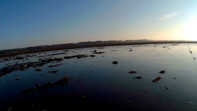 Массовый пролет гуся. ОХОТА НА ГУСЯ 03.04.2018 смотреть онлайн