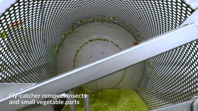 Vegetable Processing Line | Cutting, Washing & Drying смотреть онлайн