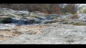 Footage mountain stream/ Футаж горный ручей