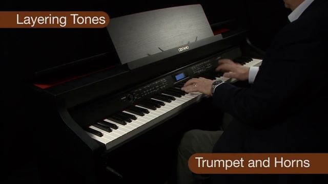 Casio Celviano AP 650 Digital Piano