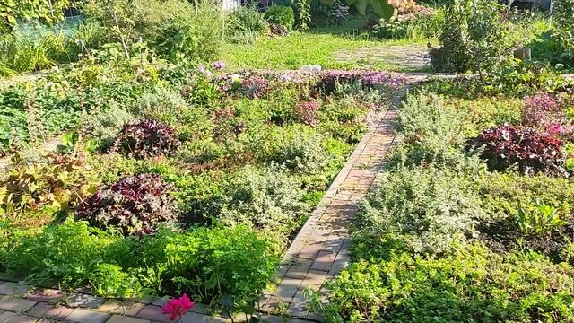 ?хосты и очитки смотреть онлайн