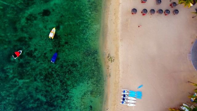 PAMPLEMOUSSES, MAURITIUS | 4K