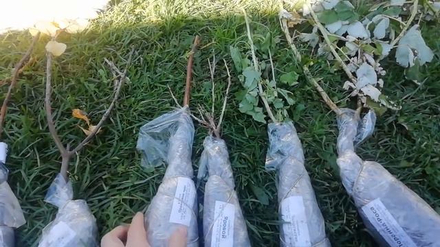 Посылка от Помолейко Александра Владимировича 1 часть смотреть онлайн