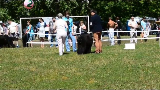 Блек Росси Эпатаж смотреть онлайн