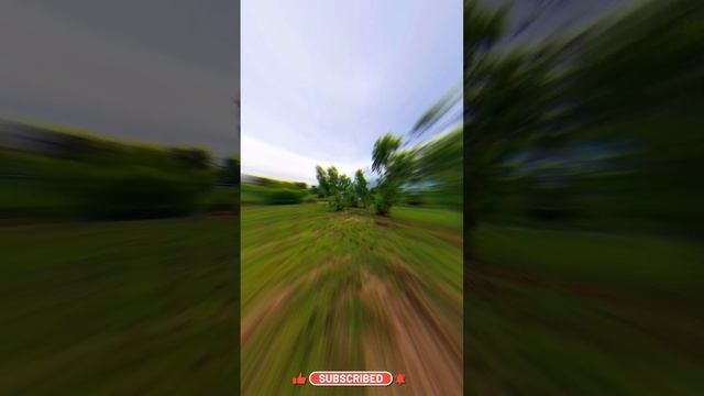 Easy Origami Paper Plane #107 | Marki's Origami смотреть онлайн