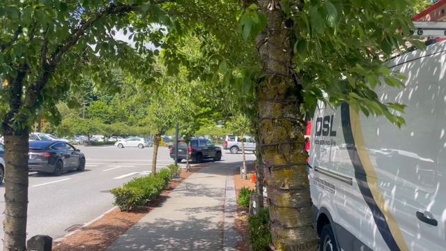 WVPD Unmarked Tahoe Response