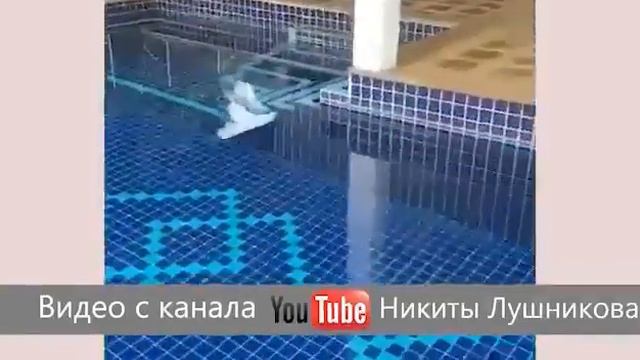 Дана Борисова показала свой новый реабилитационный центр смотреть онлайн