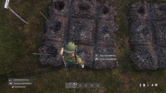 Как вырастить овощи в dayz, гайд как добывать еду смотреть онлайн