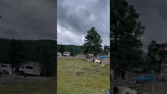 Алтай. Чемал-Акташ, знаковые места. Часть 2. Дорога на перевал Кату-Ярык #горныйалтай #путешествия смотреть онлайн