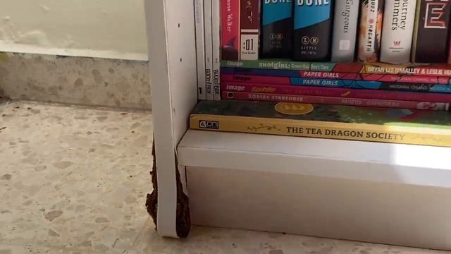 BOOKSHELF TOUR 2022 ✨ 300+ books! смотреть онлайн