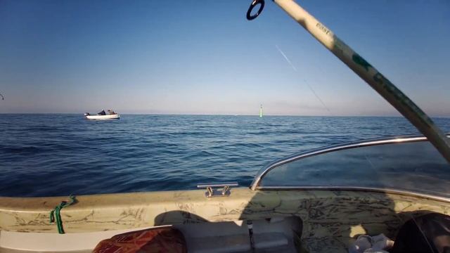 Горбыль на самодур. Рыбалка на черном море летом в Геленджике 2022. смотреть онлайн