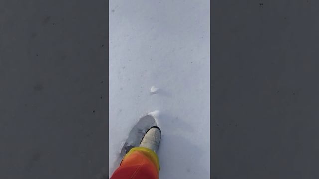 ура,весна!!! скоро летняя женская рыбалка!!! смотреть онлайн