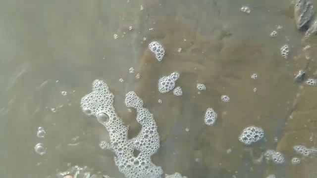 настоящий Клондайк для морского аквариумиста путешествие на северное море в двадцать втором году смотреть онлайн
