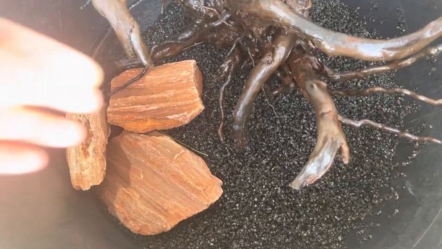 Аквариум Aquael Leddy 75 смотреть онлайн