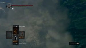 dark souls( Озеро Тёмных корней -гидра)