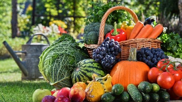 Славянский Бог Перун | Покровительство Перуна | Заповеди Перуна смотреть онлайн