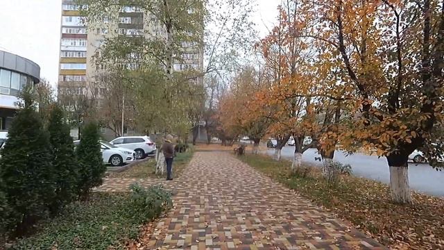 Скоро день автомобилиста. Иду в депо на торжественное собрание, грамота плюс премия совсем неплохо!