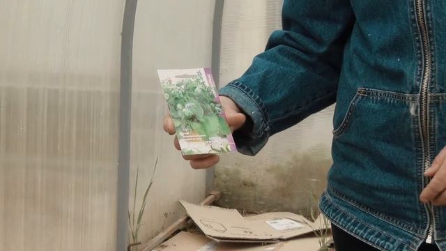 СОЗДАЕМ ЦВЕТОЧНЫЙ РАЙ смотреть онлайн