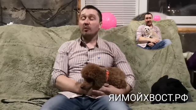 С новым 2020 годом!!! Всех любим и ждём. смотреть онлайн