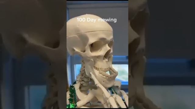 1 day mewing vs 100 day mewing смотреть онлайн