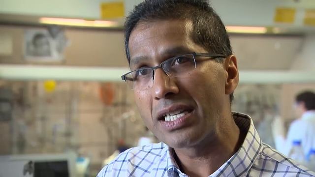 Research in Synthetic Organic Chemistry смотреть онлайн