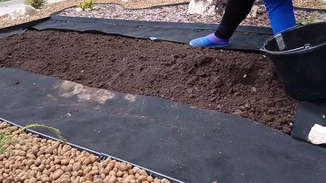 Делаю клумбу "Разлитые цветы" смотреть онлайн