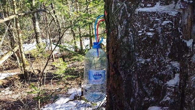 ОСВОД Кузбасса