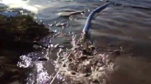 Намыв песка мини земснарядом Eco Lake