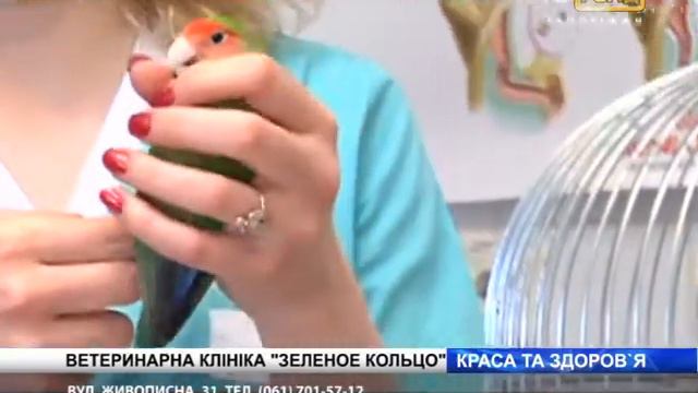 zelenoe kolco 21 05 12 смотреть онлайн