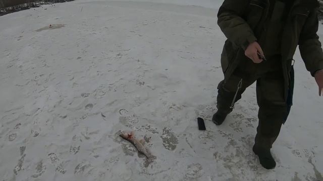 зимняя рыбалка на реке Сосьва смотреть онлайн