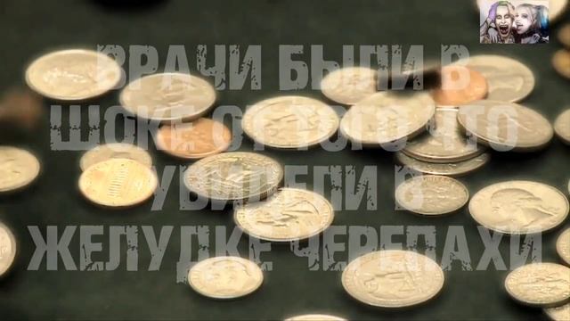 ?ВРАЧИ БЫЛИ В ШОКЕ ОТ ТОГО ЧТО УВИДЕЛИ В ЖЕЛУДКЕ ЧЕРЕПАХИ? смотреть онлайн