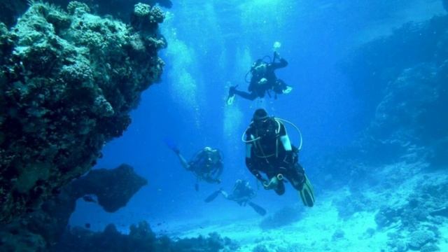 Hobby. Different Kinds Of Hobbies .