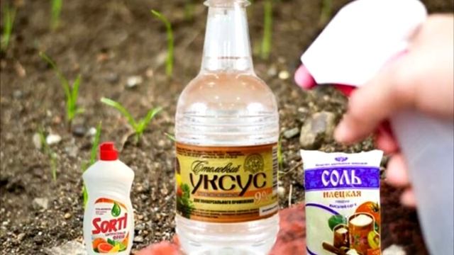 Способ, как надолго избавиться от травы в стыках между тротуарной плиткой смотреть онлайн