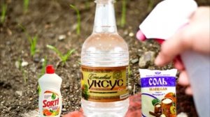 Способ, как надолго избавиться от травы в стыках между тротуарной плиткой