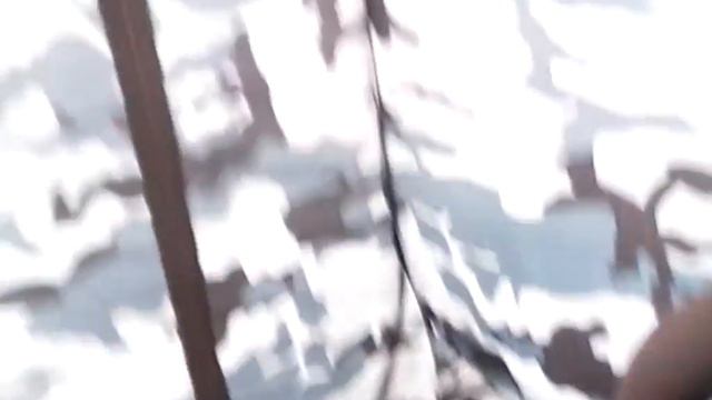 Зимняя рыбалка на окуня ,отдых . 2017 год. смотреть онлайн