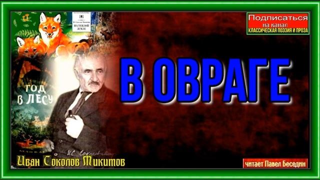 В овраге— Иван Соколов —Микитов— читает Павел Беседин смотреть онлайн