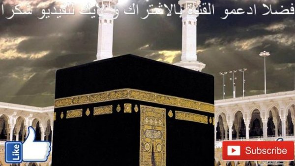 بث مباشر تلاوة من القران الكريم لتهدئة النفس وراحة البال