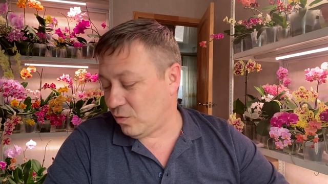 завёл ПАПА собаку а ДЕТЕЙ за БОРТ, КАЙФУЕТ и МИТЬКУ на второй план смотреть онлайн