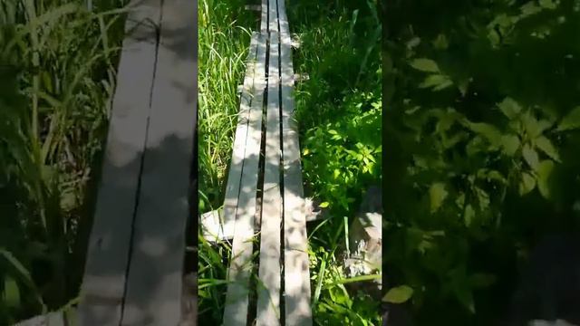 Гнилые кладки в Вилково | Бессарабия INFORM смотреть онлайн