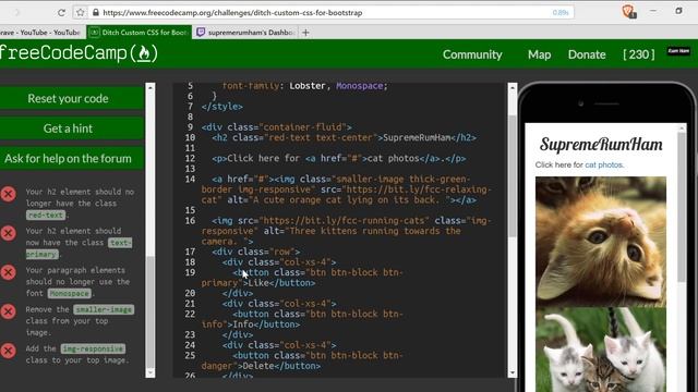 Ditch Custom CSS for Bootstrap- freeCodeCamp Responsive Design with Bootstrap lesson #10 смотреть онлайн