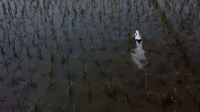 S2 RC Jet boat смотреть онлайн