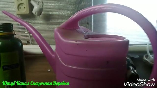 Как вырастить овес без грунта. За 13 дней. смотреть онлайн