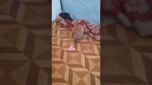 Не. Чуждо. Людское смотреть онлайн