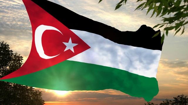 Флаг и гимн Газы Flag and anthem of Gaza смотреть онлайн