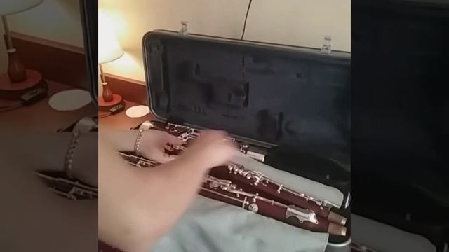Moosmann 150E Orchestra Model смотреть онлайн