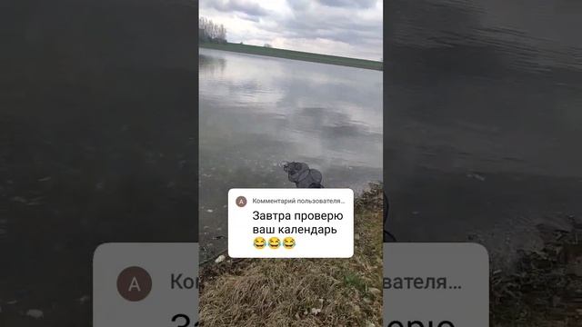 Тест прогноза клёва рыбы для Германии и Европы на Апрель 2023. Леща поймали ночью. смотреть онлайн