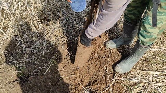 первый полноценный коп 2021 смотреть онлайн