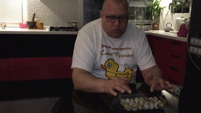 Инкубация перепелов.  Режим инкубации