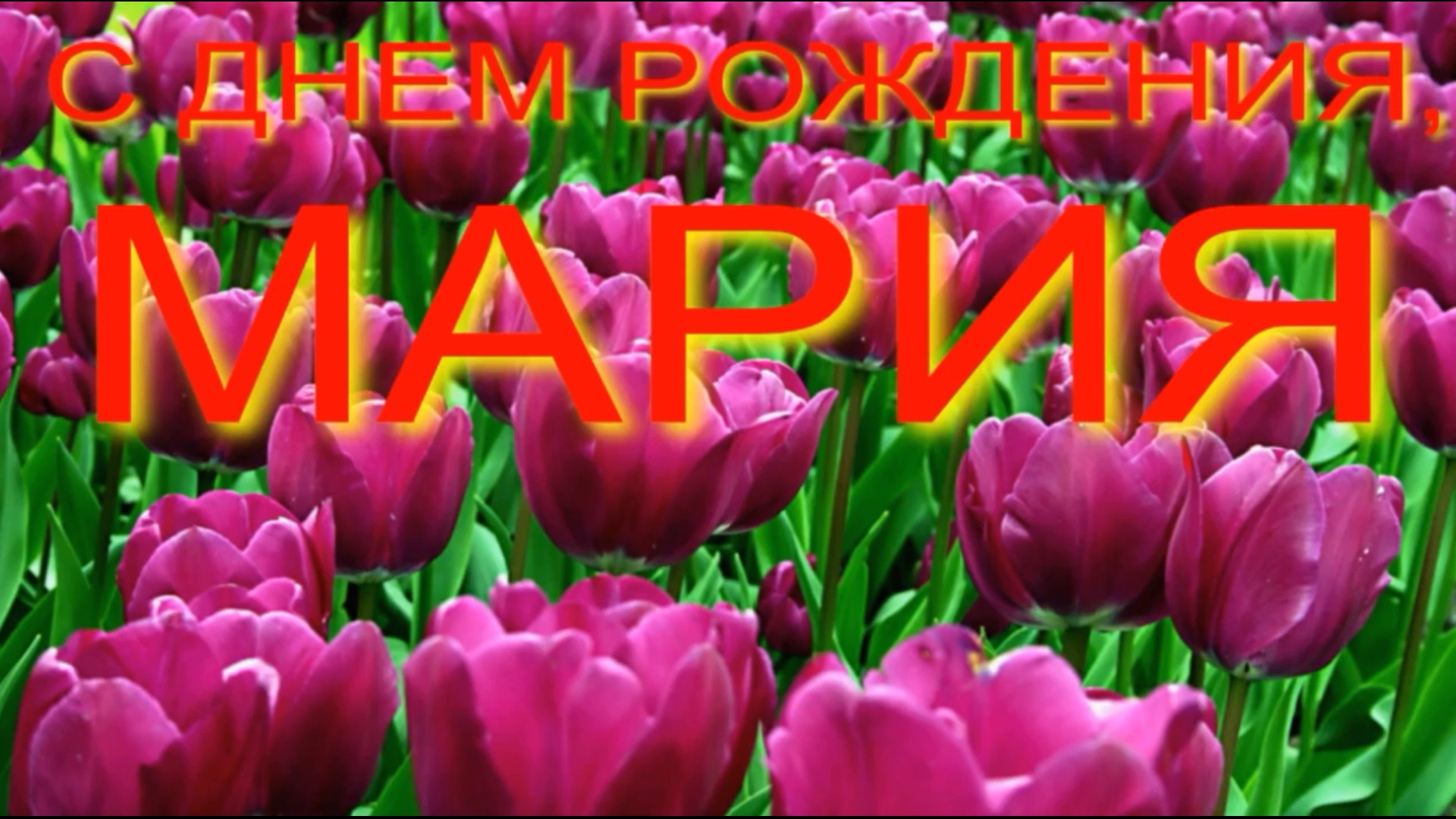 МАРИЯ, С ДНЕМ РОЖДЕНИЯ смотреть онлайн