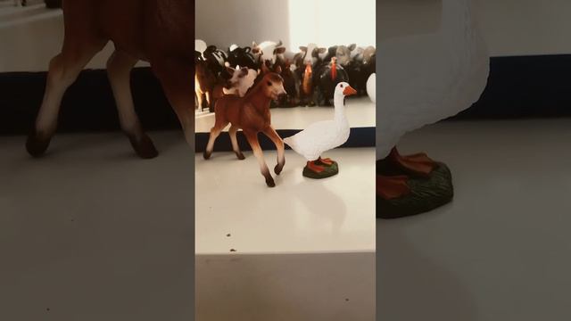 Schleich гусь 13799 Жеребёнок мустанг 13807 и бордюр колли 16840 ￼ смотреть онлайн